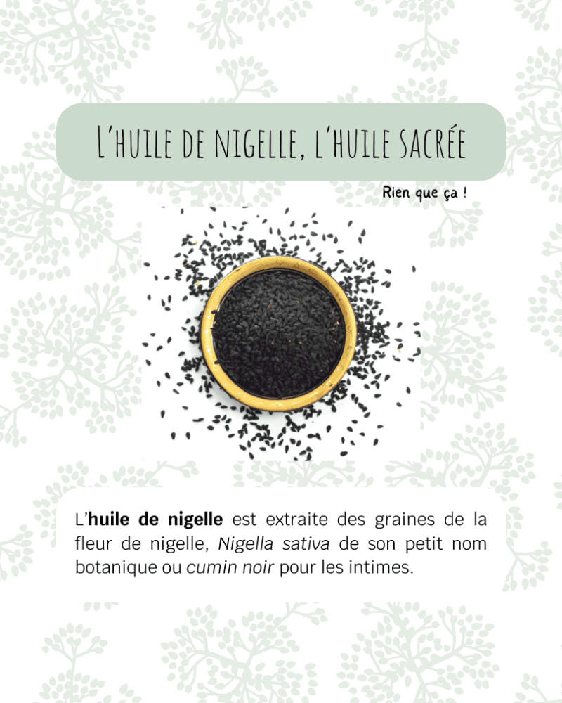 L’huile de nigelle est extraite des graines de la fleur de nigelle, Nigella sativa de son petit nom botanique ou cumin noir pour les intimes.
